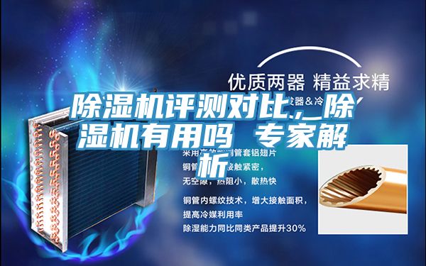 除濕機評測對比，除濕機有用嗎 專家解析