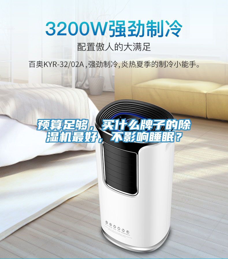 預(yù)算足夠，買什么牌子的除濕機最好，不影響睡眠？