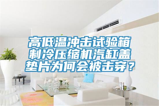 高低溫沖擊試驗(yàn)箱制冷壓縮機(jī)汽缸蓋墊片為何會(huì)被擊穿？