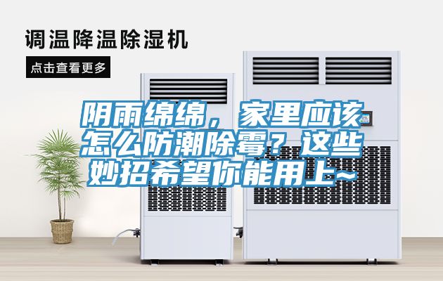 陰雨綿綿，家里應(yīng)該怎么防潮除霉？這些妙招希望你能用上~