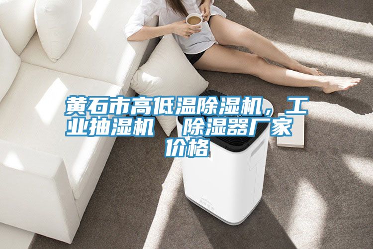黃石市高低溫除濕機(jī)，工業(yè)抽濕機(jī)  除濕器廠家 價(jià)格