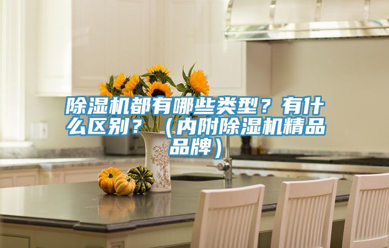 除濕機(jī)都有哪些類(lèi)型？有什么區(qū)別？（內(nèi)附除濕機(jī)精品品牌）