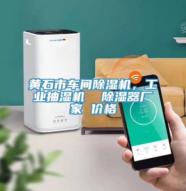 黃石市車間除濕機(jī)，工業(yè)抽濕機(jī)  除濕器廠家 價(jià)格