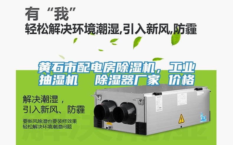 黃石市配電房除濕機(jī)，工業(yè)抽濕機(jī)  除濕器廠家 價(jià)格