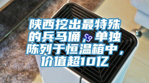 陜西挖出最特殊的兵馬俑，單獨(dú)陳列于恒溫箱中，價(jià)值超10億