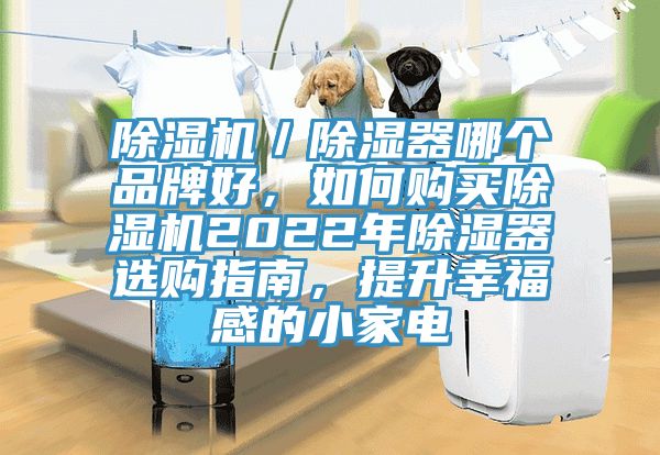 除濕機(jī)／除濕器哪個(gè)品牌好，如何購(gòu)買(mǎi)除濕機(jī)2022年除濕器選購(gòu)指南，提升幸福感的小家電