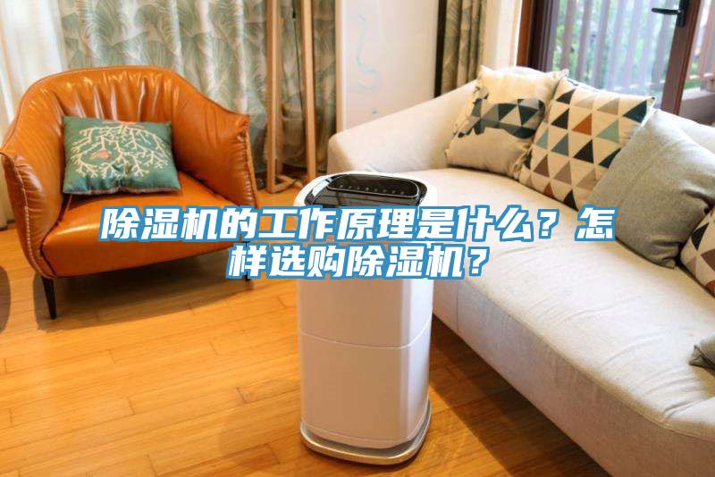 除濕機的工作原理是什么？怎樣選購除濕機？