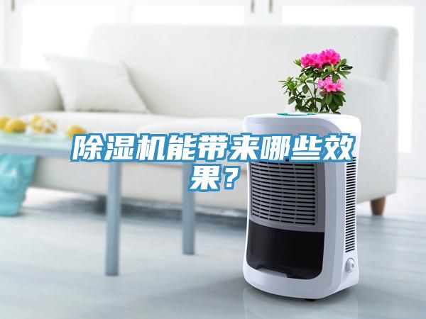 除濕機能帶來哪些效果？