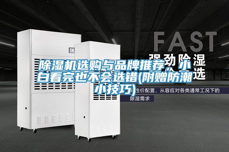 除濕機(jī)選購(gòu)與品牌推薦，小白看完也不會(huì)選錯(cuò)(附贈(zèng)防潮小技巧)