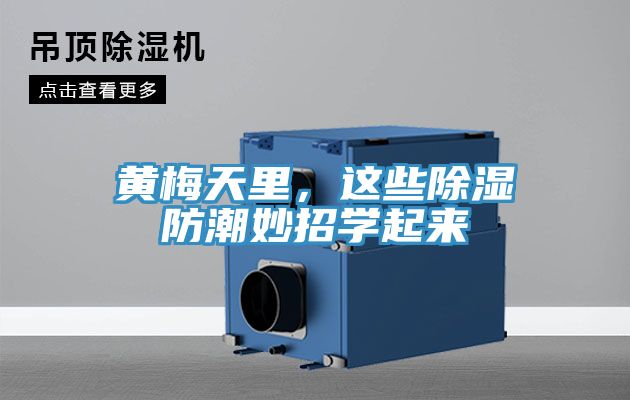 黃梅天里，這些除濕防潮妙招學起來