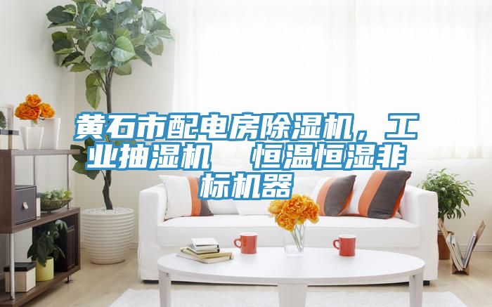 黃石市配電房除濕機(jī)，工業(yè)抽濕機(jī)  恒溫恒濕非標(biāo)機(jī)器